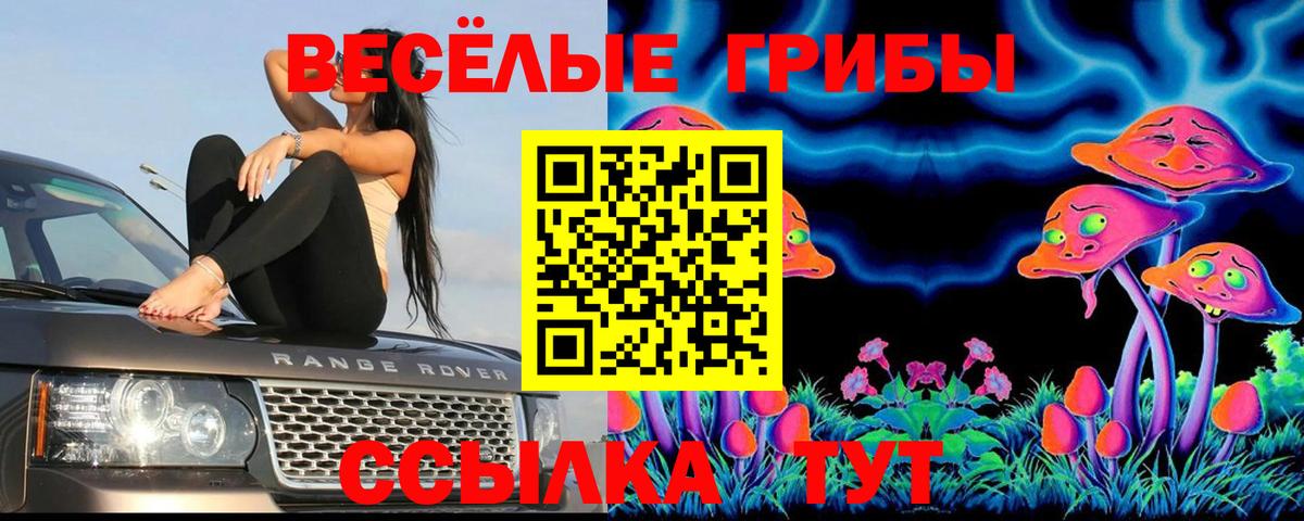 Бирск  Галлюциногенные грибы мицелий  Вход с VPN 